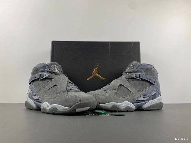 Retro Cool 8 Grey 305381-014 Jordan 0710
